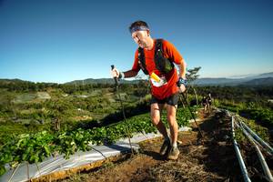 BIB: 9137
                            <button type="button" onclick="openModal(19116890)" class="btn btn-primary btn-sm float-right btn-popup" data-toggle="modal" data-target=".modal-high-quality">
                        <i class="fas fa-shopping-cart"></i> Add to Cart
                    </button>
                                            <button type="button" onclick="isThisMe(19116890, true)" class="btn btn-success btn-sm float-right btn-popup btn-isme hidden" data-toggle="tooltip" data-placement="bottom" title="นี่คือรูปของคุณใช่ไหม คลิกที่นี่เพื่อเอาเข้าอัลบั้ม">
                        <i class="fas fa-plus"></i> Add to album
                    </button>
                    <button type="button" onclick="isThisMe(19116890, false)" class="btn btn-warning btn-sm float-right btn-popup btn-isnotme hidden">
                        <i class="fas fa-ban"></i> Remove from album
                    </button>